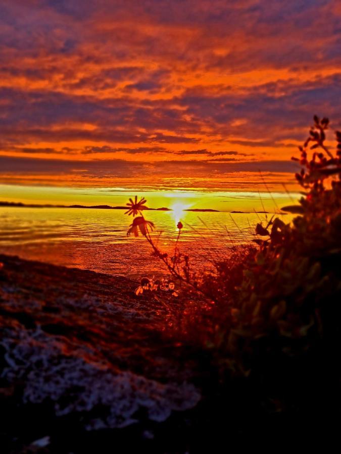 Laukvik Senja Hotel Botnhamn Екстериор снимка